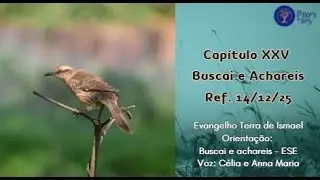 Cap&iacute;tulo XXV - Buscai e Achareis - Ref. 14-12-25