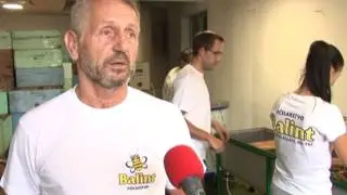 VRCANJE SUNCOKRETOVOG MEDA