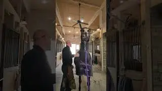 BG's Llama impression 😂😂 #horses #impressions #funnyvideos #funnyhorse #viral #shorts #equestrian