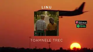 LINU - Toamnele Trec | Official Audio