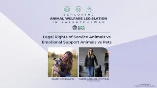 Exploring Animal Welfare Legislation in Sask: Service Animals, Emotional Support Animals, and Pets