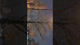 Andando na Neve em Toronto