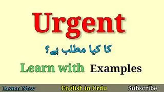 Urgent Meaning in Urdu