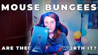 Are Mouse Bungees Worth It? | Razer Mouse Bungee V2 Review