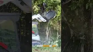 Power vs Brush | Forestry Mulching