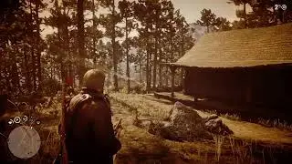 RDR2 New Year's Eve stream