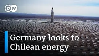 Germany talks with South America for non-Russian energy sources | DW News