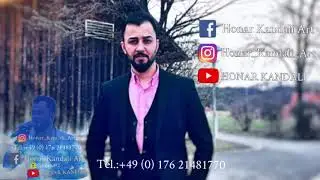 #honarkandali saro