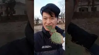 Removing Thorns Before Eating Cactus #shorts