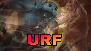 Warwick.URF 2024