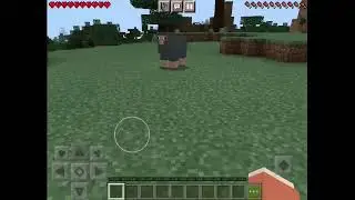 idk what i’m doing lol [-LifeSMP-]