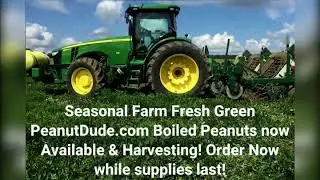 🚜NEW PEANUTDUDE.COM PRODUCT: FARM FRESH GREEN #PEANUTDUDE BOILED PEANUTS🚜Available Nationwide!🇺🇸