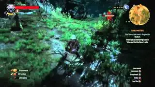 Rage11206's Witcher