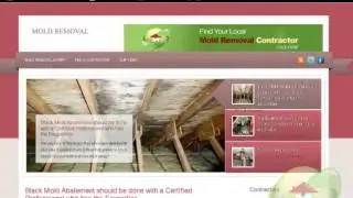 How to Control Mold and Mildew in Your Home