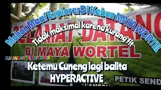 EXPLORER KE KEBUN MAYA WORTEL || PONDOK HALIMUN PERBAWATI || BALITA HYPERACTIVE