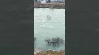 Neretva. Konjusi. Mostar.