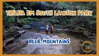 Trilha em South Lawson Park | Blue Mountains - Hiking at South Lawson Park | Blue Mountains