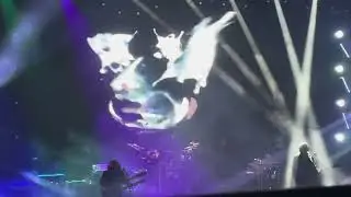 Primus 8-8-2025
