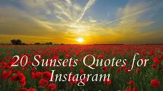 20 Sunset Quotes for Instagram 💕🌅🌞 Sunset Quotes