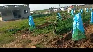 35 كلم من مدينة سيدي علال البحراوي كموني 5000 متر ملكية تمن 60 مليون 212661247058