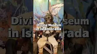 🌊 Unique museum stop in the Florida Keys