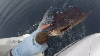 Fishing Papua New Guinea, Black Label 2016-17