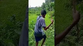 കറൂപ്പ്, കഴിപ്പിടി, #fishing #kerala #fish #karup#malayalam #fishingmalayalam #fishingkerala