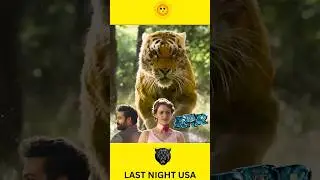 RRR American Audience Reaction Compilation | RRR movie | Why RRR Took Over USA #RRR #movie
