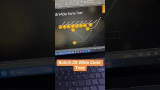 Single Back Formation: Bunch 28 Wide Zone Toss!