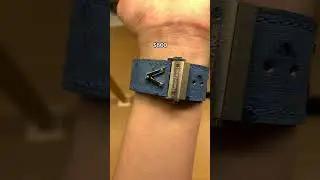 $50 vs $800 Apple Watch Band