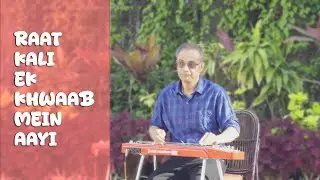 Raat Kali Ek Khwaab Mein Aayi | Hawaiian Guitar Cover by Radhendu Das