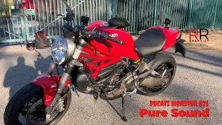 Ducati Monster 821 | PURE SOUND