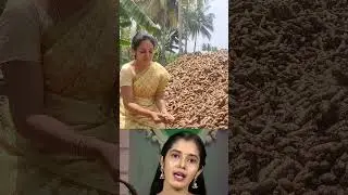 Farm fresh Turmeric powder Available To order our farm fresh products check www.organicfarmer.store