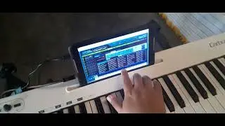 Edici&oacute;n Alcalde La Sonora Korg M1 Virtual Y Korg M1 ipad