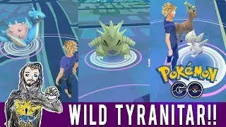A Wild Tyranitar Has Appeared!! Pokemon GO Nightly Adventure Alameda, CA! Wild Lapras! Rare Spawns!