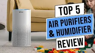 Top 5 Best Air Purifiers & Humidifiers for Large Room in 2023 Review