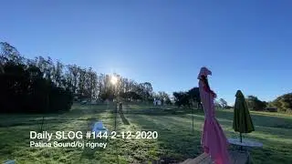 144 Daily SLOG 2-12-2020