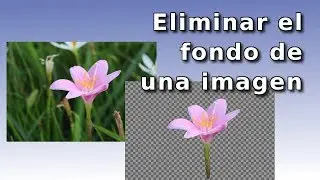 C&oacute;mo quitar el fondo de una imagen sin programas, con background burner. Remove Photo Background
