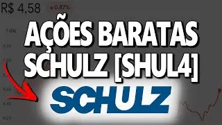 SHUL4: SCHULZ BATE O CDI, PAGA DIVIDENDOS E PODE VIVER NOVO CICLO DE ALTA