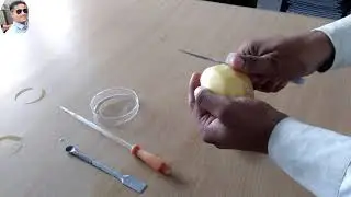 to demonstrate osmosis by potato osmometer class 11th Bio practical @scienceexperimentsvasifali7757