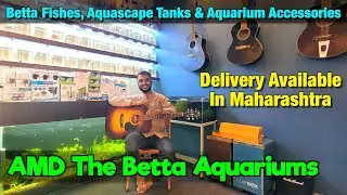 AMD The Betta Aquariums Store I Delivery Available All Over Maharashtra