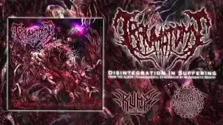 [TRAUMATOMY] - Disintegration In Suffering (2013) #RUMF