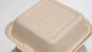 900 ml Disposable Heavy Duty Recyclable Microwavable Wholesale Sugarcane Bagasse Clamshell Take