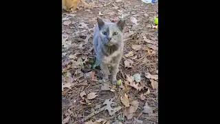 Incredible! 