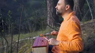 Tongue drum (WoodPack) music in Nature