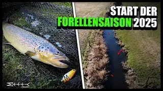Forellensaison eröffnet – So krass lief der erste Angeltag! +Tipps und Tricks