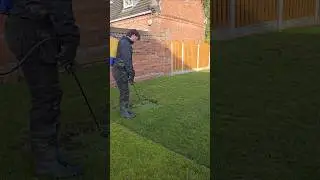 Уход за газоном полезен для души. Только посмотрите, как меняется состояние газона благодаря прос...