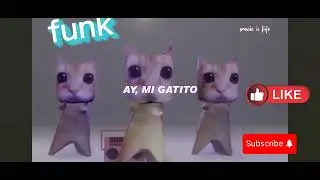 Maiu maiu