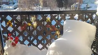 Canada 9th January 