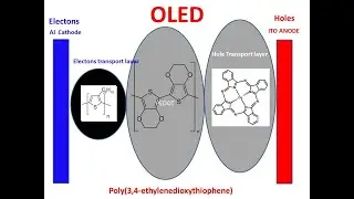 ORGANIC LIGHT EMITTING DIODE (OLED)